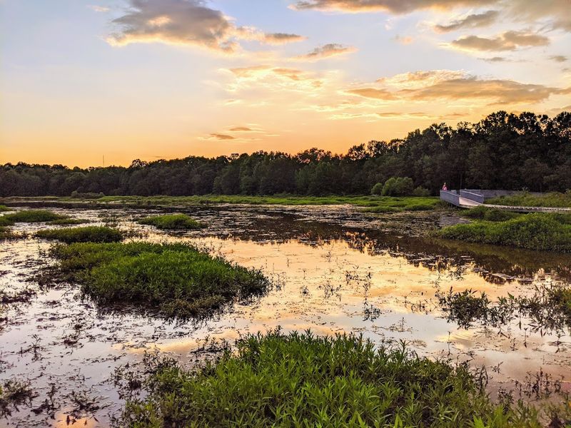 Huntley Meadows Park, Alexandria