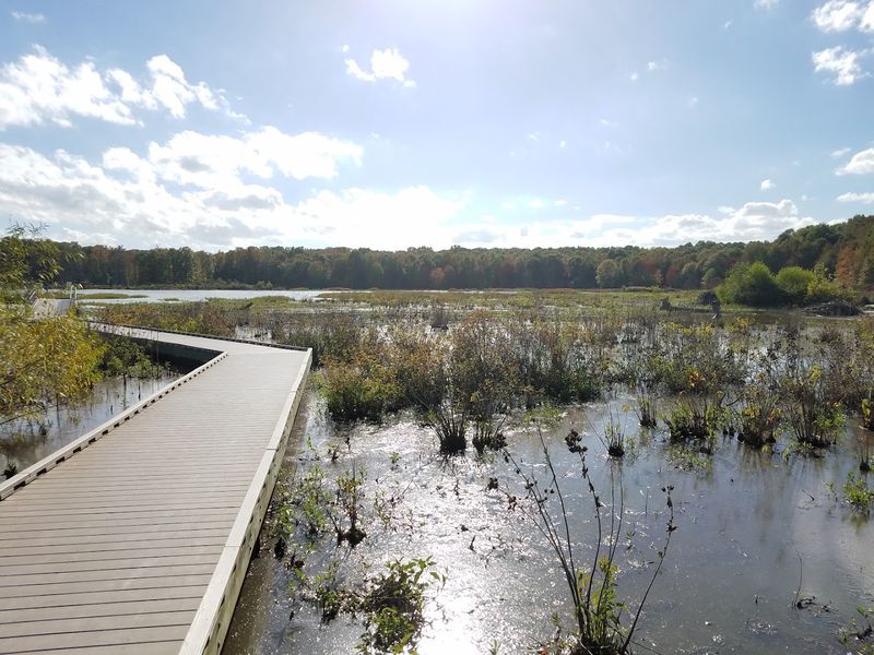 Huntley Meadows Park, Alexandria