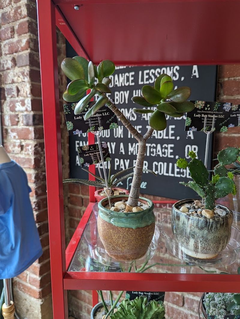 Idaho's Creative Spirit Lives on Every Shelf