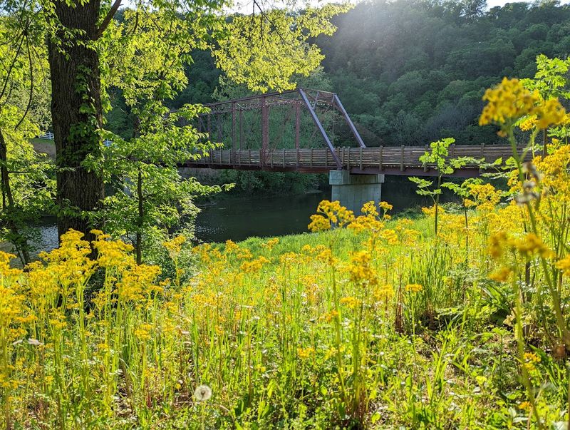 Indian Creek Trail Is Perfect for Strollers, Wagons, and Easy Walkers