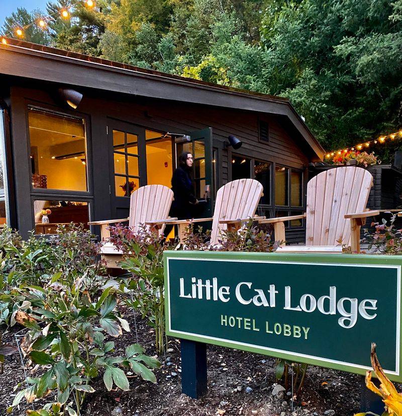 Little Cat Lodge