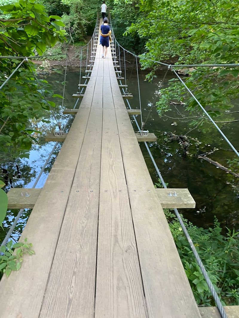 Institute Woods Swinging Bridge