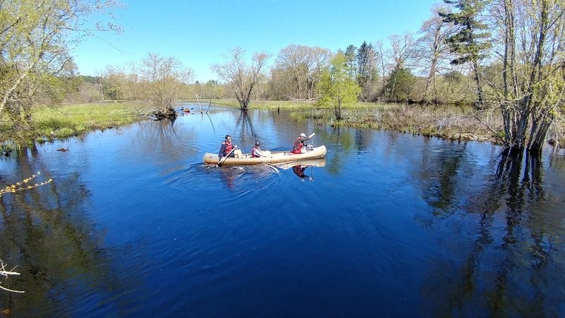 Ipswich River Wildlife Sanctuary (Topsfield)