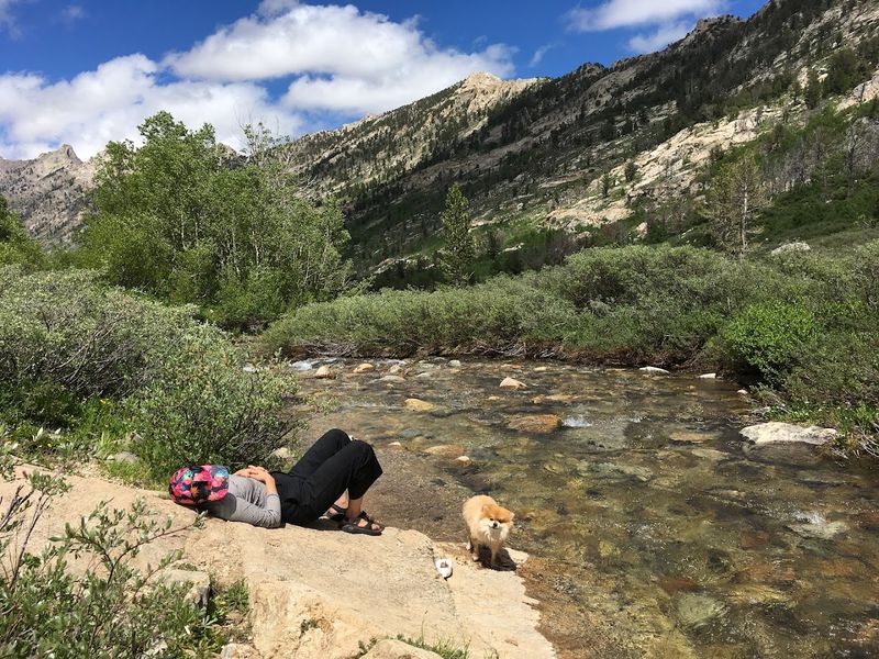 Island Lake: The Family-Friendly Hike With Views That Punch Above Its Weight