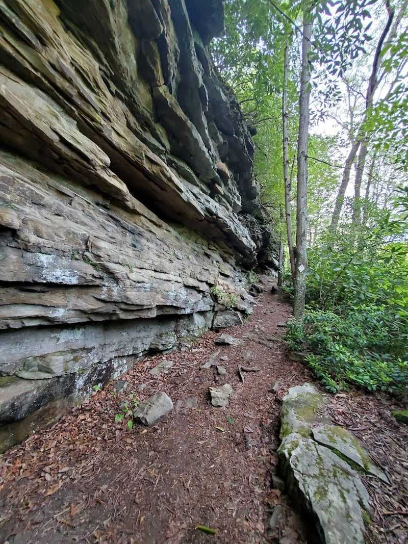 Island in the Sky Trail at Babcock State Park, West Virginia