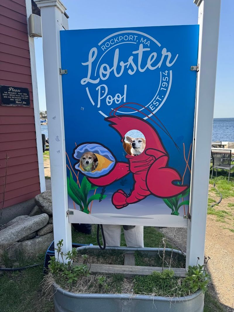 It Feels Like A Real Coastal Routine