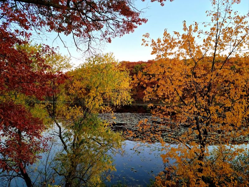 Jensen Lake and the Views That Stop You Cold