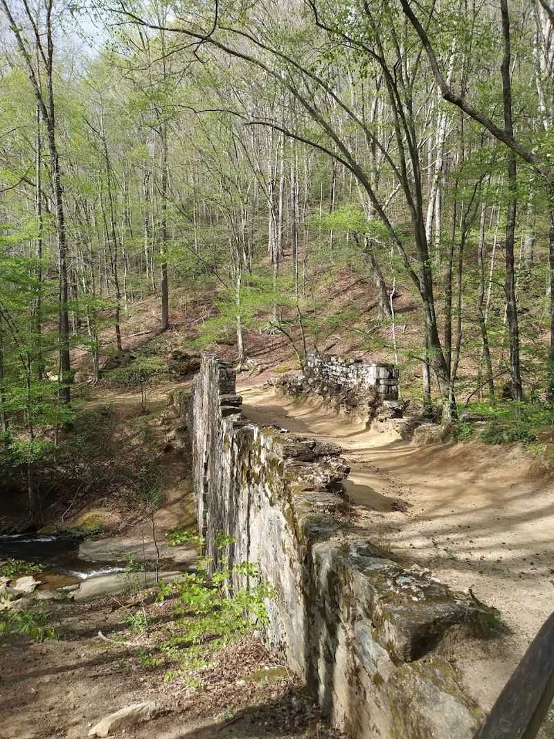 Joel Roberts Poinsett and the Name Behind the Bridge