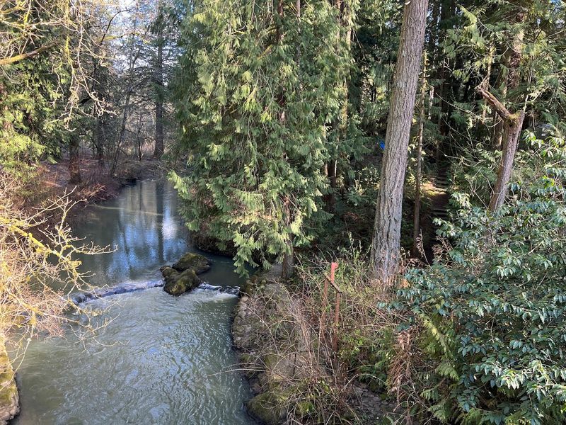 Johnson Creek and the Trails That Follow Its Banks
