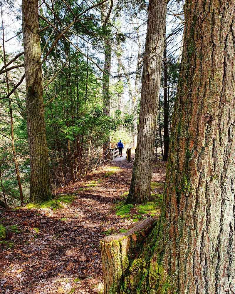 Johnson Hollow Trail at Kanawha State Forest, West Virginia
