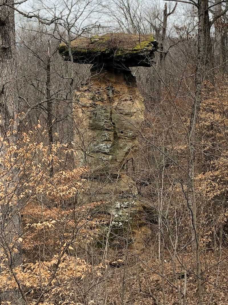 Jug Rock Nature Preserve, Shoals
