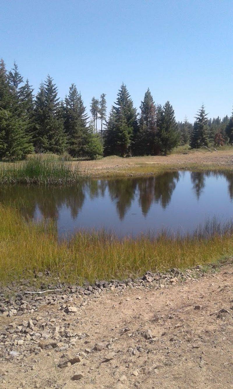 Kamela, Union County