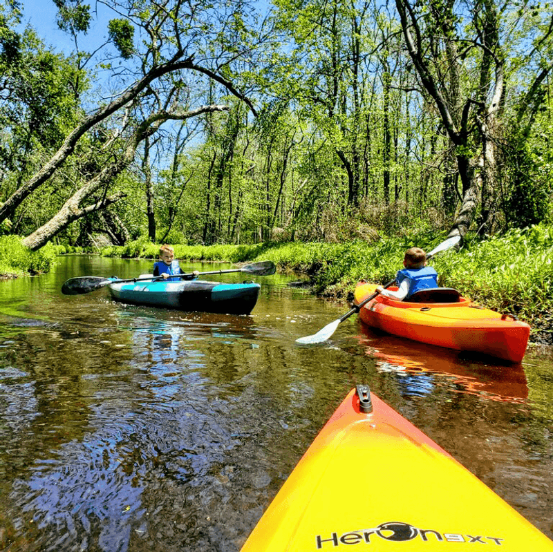 Kayaking, Trails, and Picnic Spots