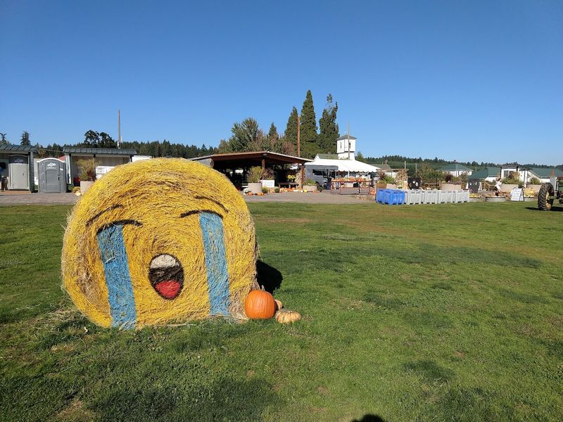 Kid-Friendly Play Structures Built From Farm Creativity