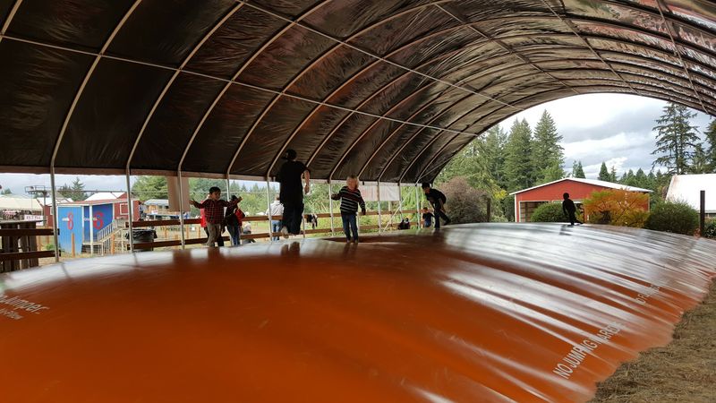 Kids Activities and Play Areas Built for Real Fun