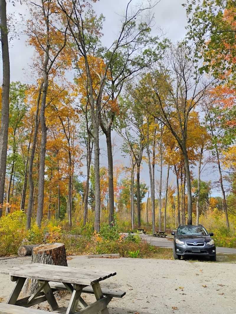 Kil-So-Quah Campground Offers Year-Round Stays