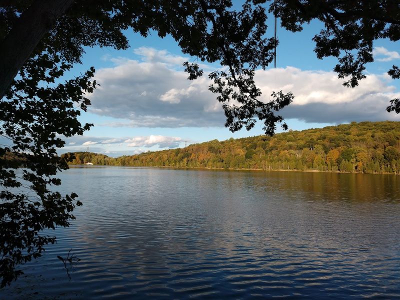Lake Aeroflex: New Jersey's Deepest Natural Lake