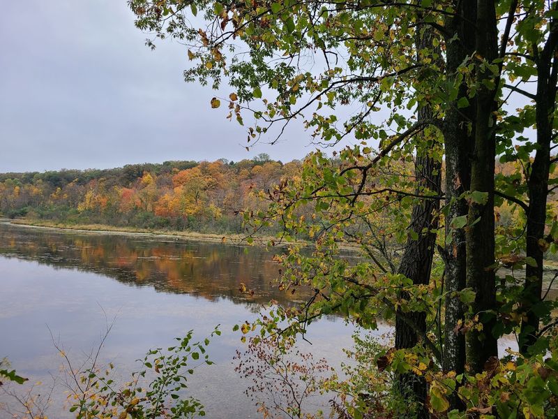 Lake Alice Views: Unexpected and Totally Worth It