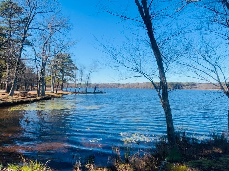 Lake Bailey And The Easy Breather
