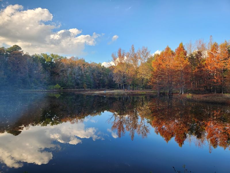 Lake Bob Sandlin State Park Lake Bob Sandlin State Park