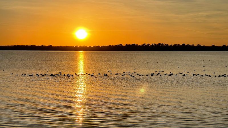 Lake Pat Cleburne, A Local Gem Worth Discovering