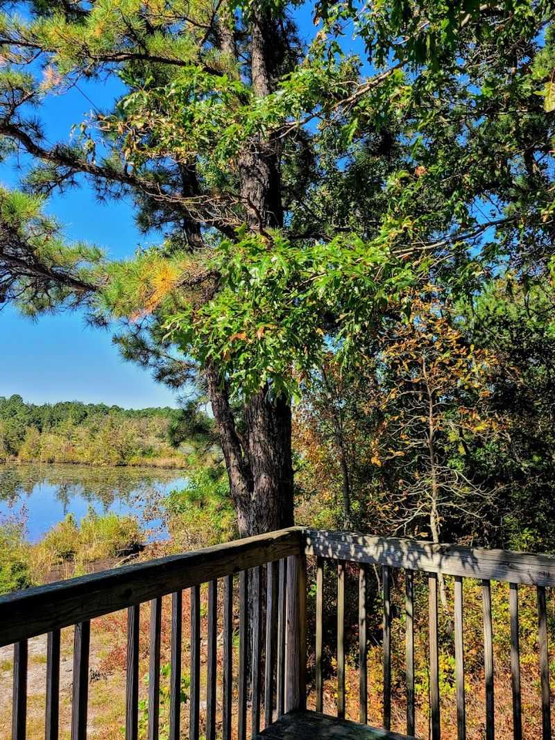 Lake Views and the Raised Platform: Scenery Worth the Walk