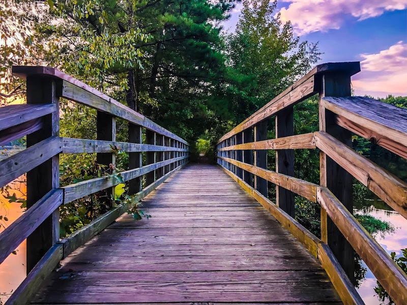 Lakeview Trail, Claytor Lake State Park