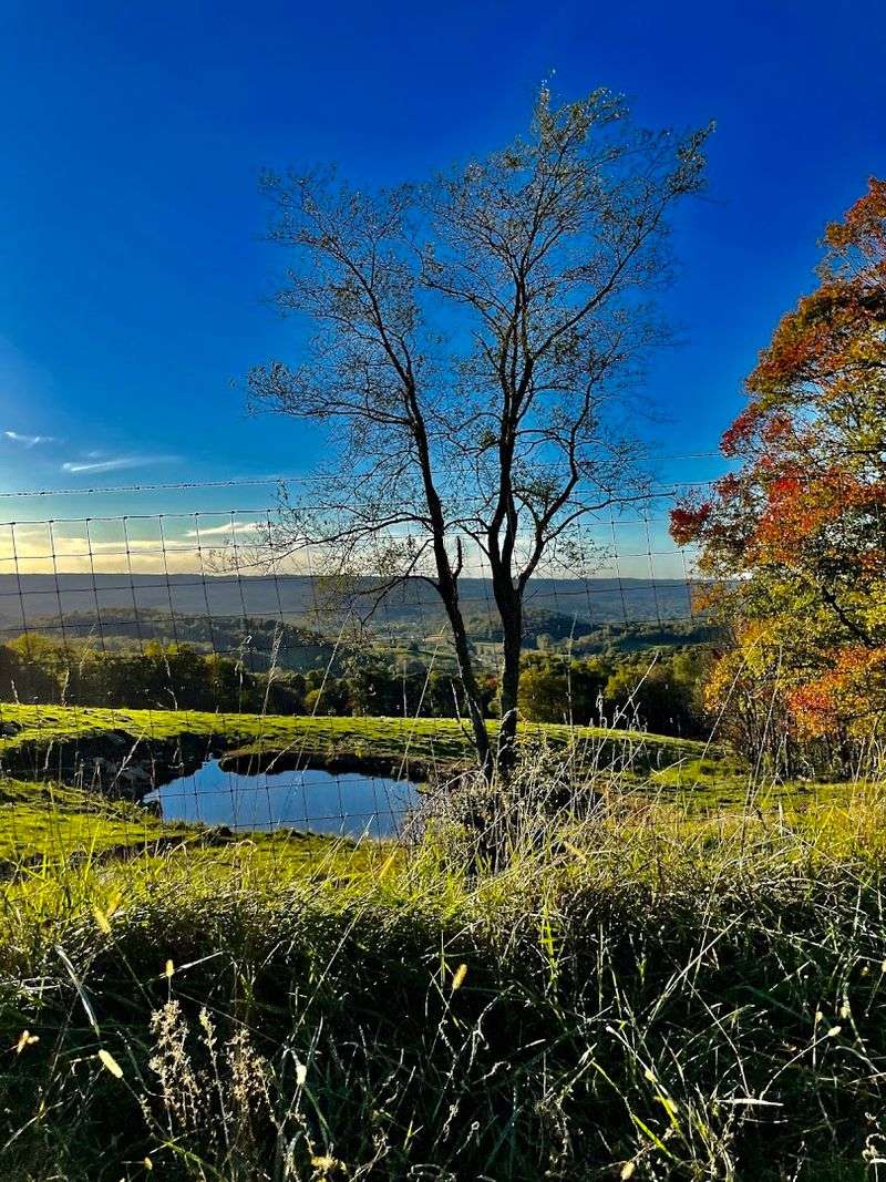 Laurel Mountain and the Western Allegheny Ridgeline Views