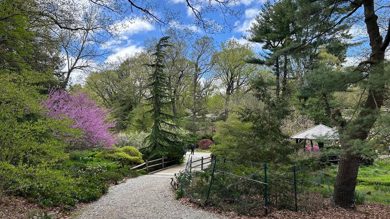 Laurelwood Arboretum