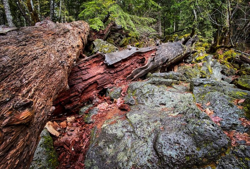 Lava Rock Terrain: When the Trail Gets Interesting