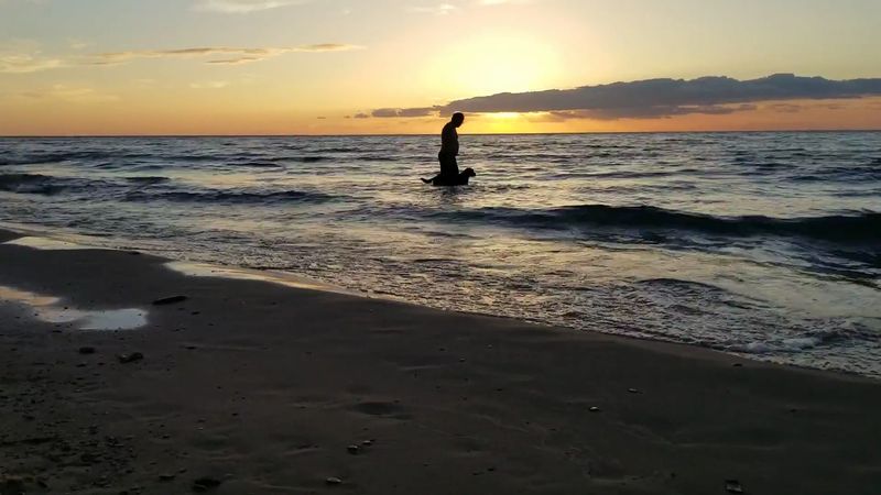 Leashed Dogs Are Welcome Year-Round on the Shoreline