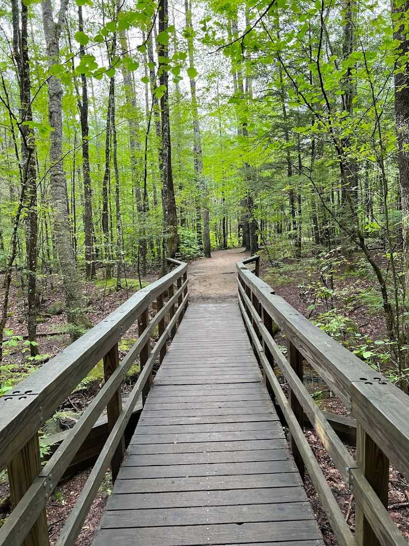 Leave No Trace and Why It Matters So Much Here