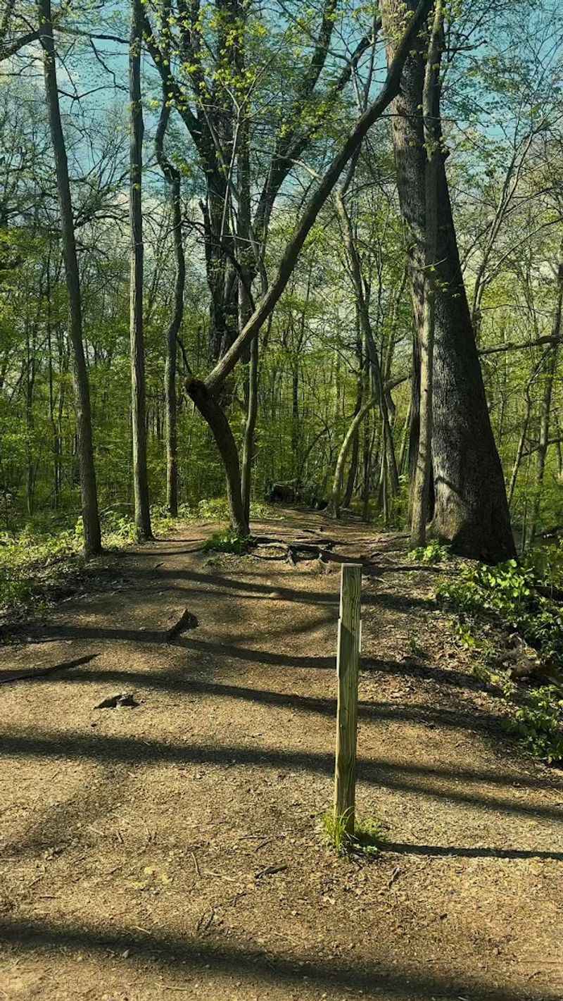 Legendary Named Sections Like Snake Farm, The Goat Trail, and Sweet Darlin'