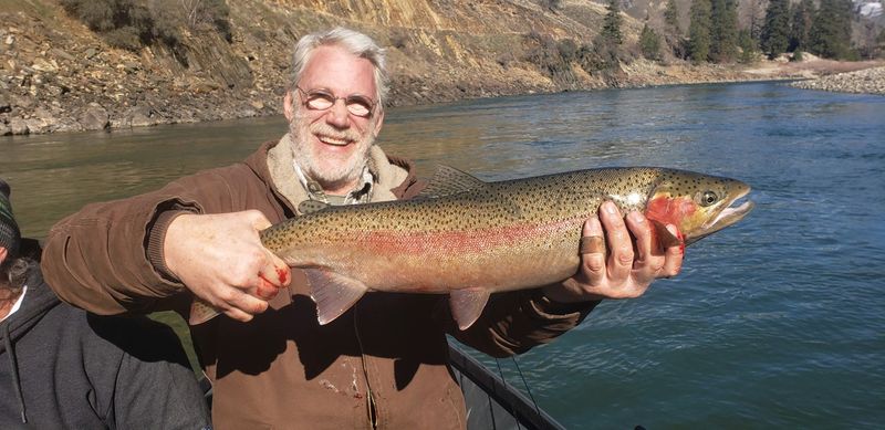 Lethal Water Temperatures Turning the River Against Its Own Fish