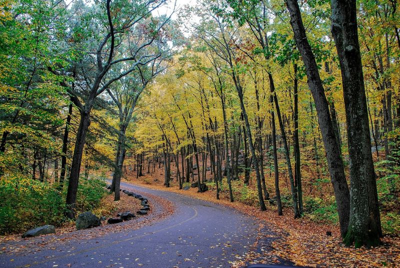 Lincoln Woods State Park: Where Green Living Actually Means Something