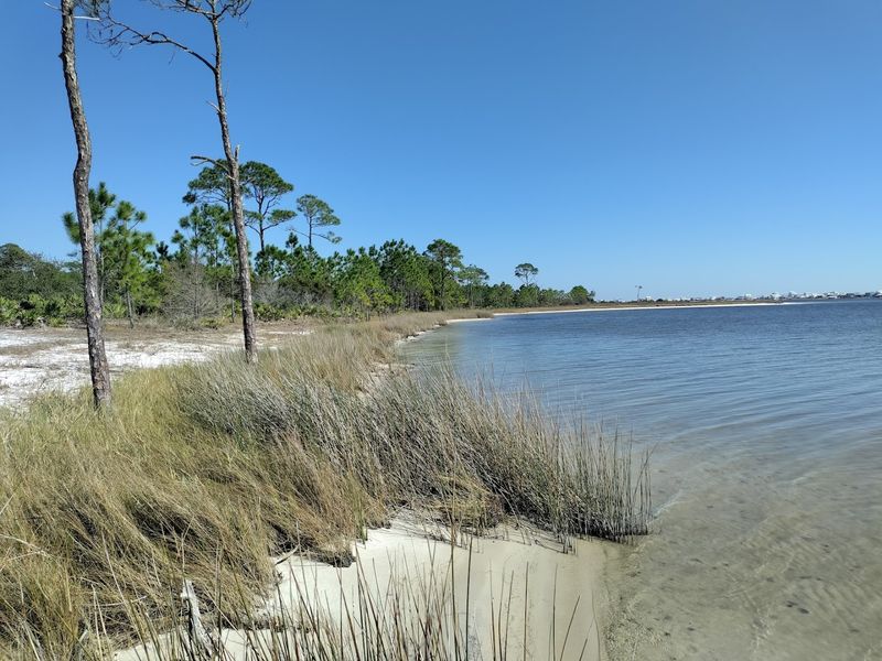 Little Lagoon Views That Stop You Mid-Step