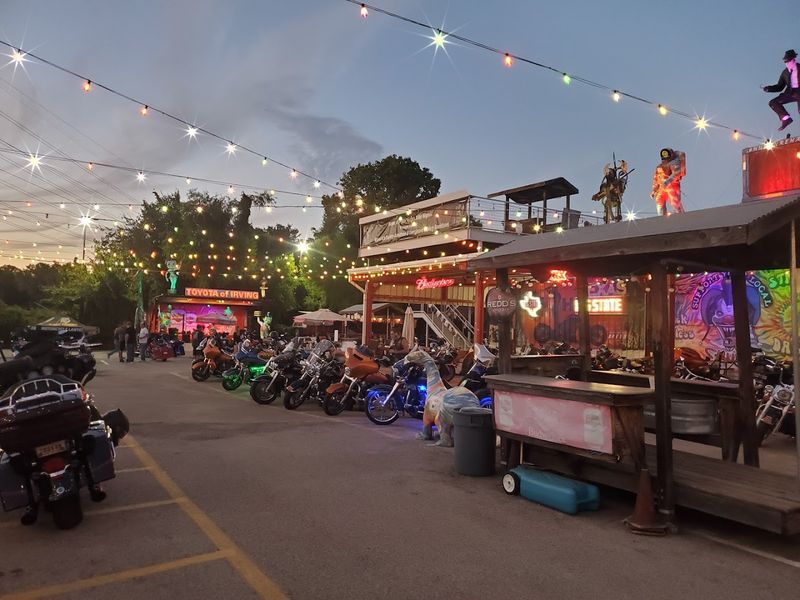 Live Music That Sets the Whole Place Buzzing