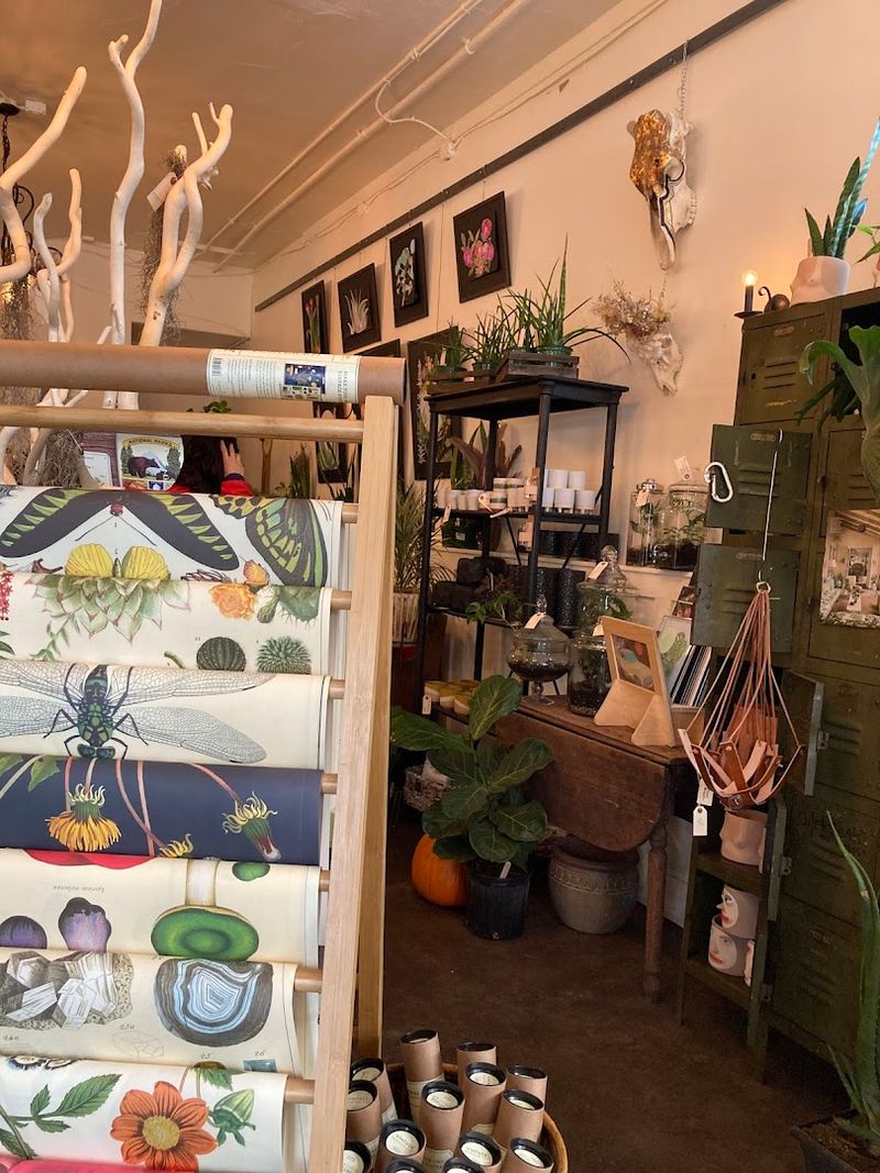 Locally Made Pottery and Art Worth Collecting Locally Made Pottery and Art Worth Collecting