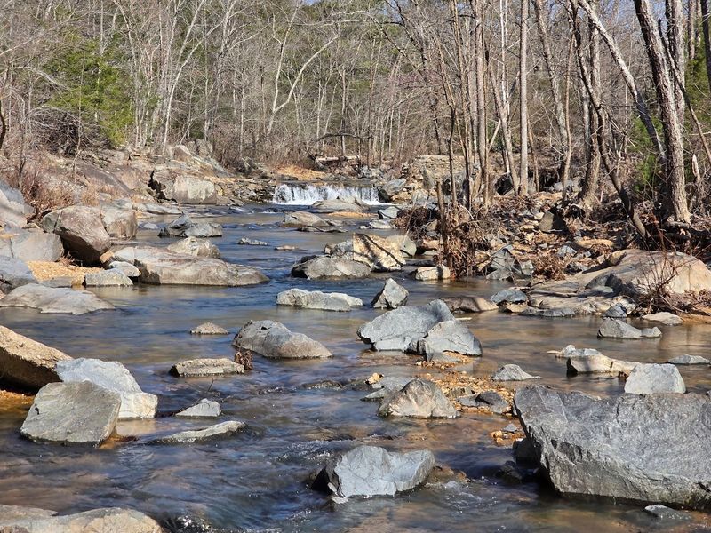 Lon Sanders Canyon Conservation Area, Piedmont, Missouri