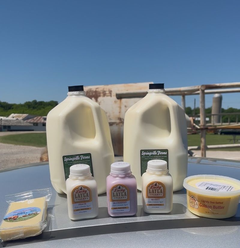 Lucky Layla Farms and the Award-Winning Dairy Products