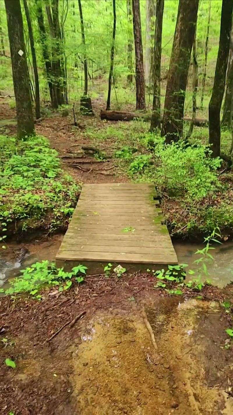 Maggie's Glen Loop (Oak Mountain State Park)