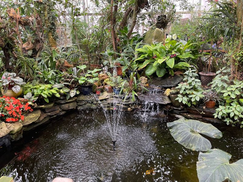 Magic Wings Butterfly Conservatory (South Deerfield)
