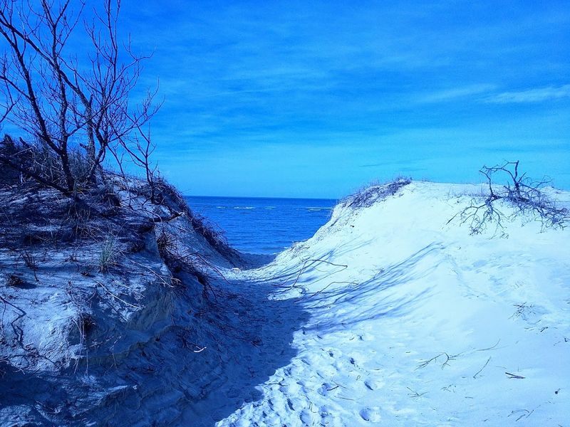 Maritime Forest Trails That Feel Like Another World