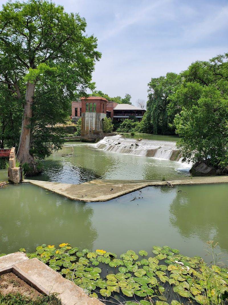 Max Starcke Park, A Local Gem That Does It All