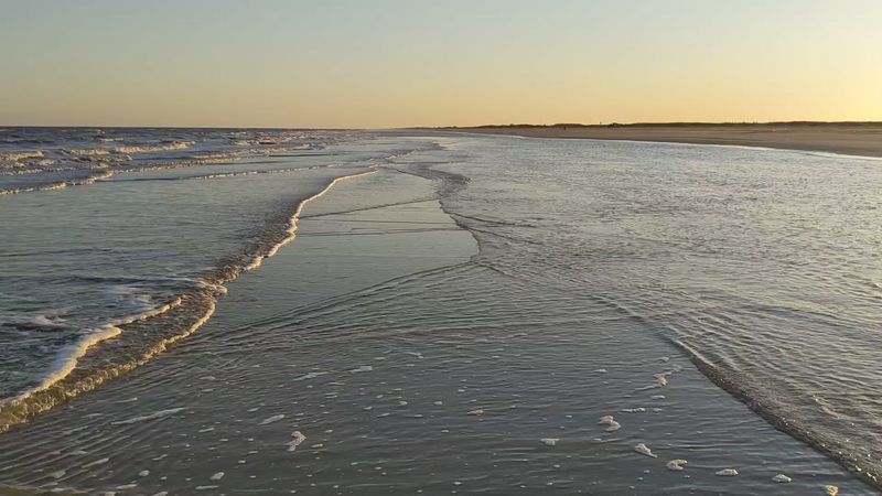 McFaddin Beach, Where the Gulf Gives Up Its Ancient Secrets McFaddin Beach, Where the Gulf Gives Up Its Ancient Secrets