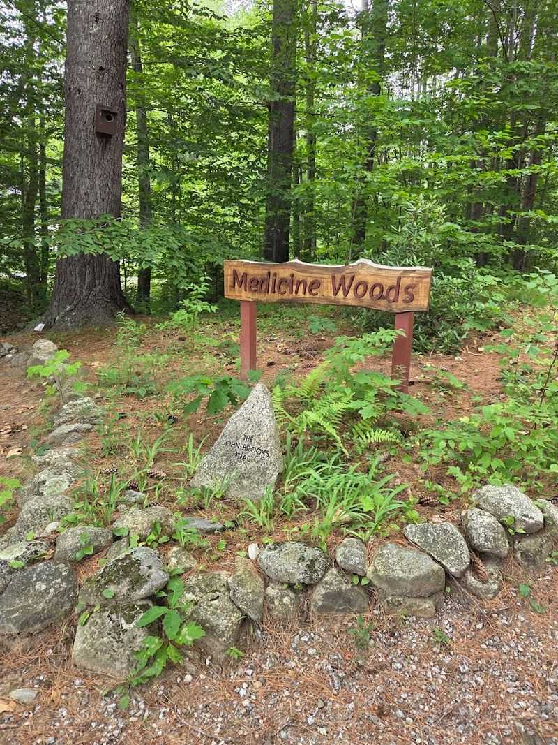 Medicine Woods Trail, Where The Forest Becomes A Classroom