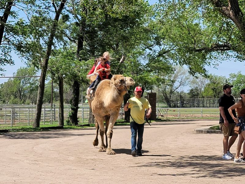 Meet the Animals You Never Expected to See in Kansas