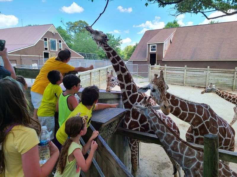 Meeting Nearly 2,000 Animals Across 190 Species