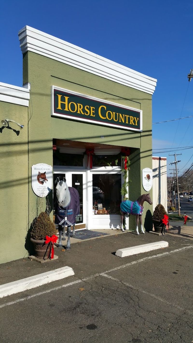 Middleburg, Virginia Horse Country