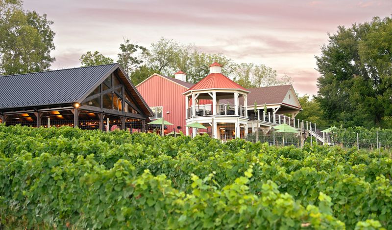 Middleburg Wine Country, Loudoun County